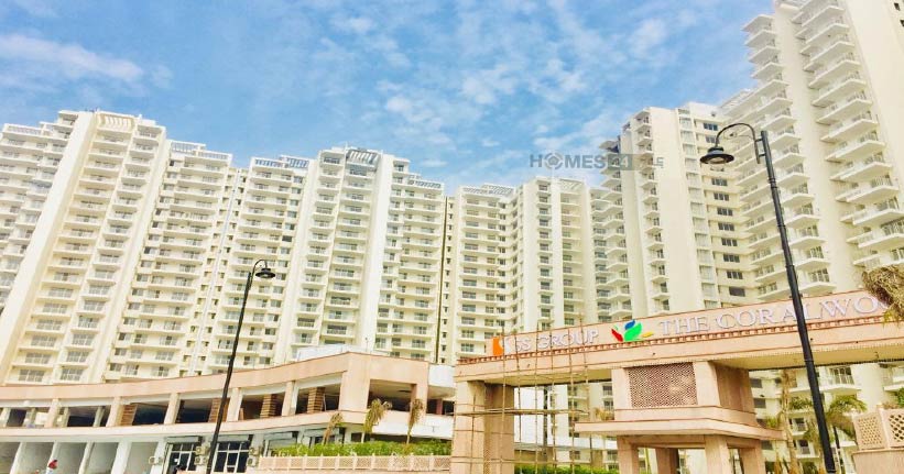 SS The Coralwood Cover Image